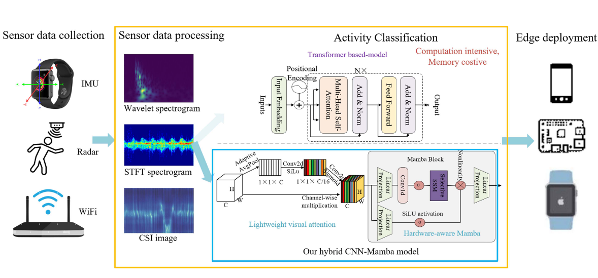 ActivityMamba: a CNN-Mamba hybrid neural network for efficient human activity recognition