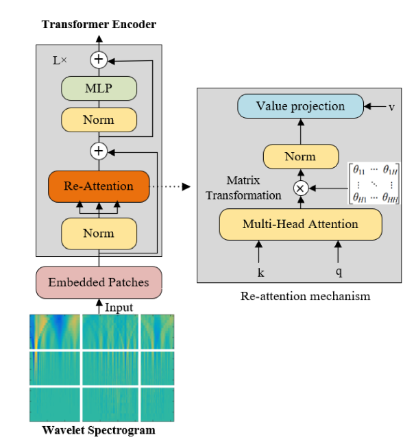 Bi-deepvit: Binarized transformer for efficient sensor-based human activity recognition