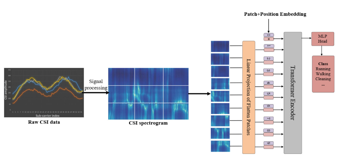 Vision transformers for human activity recognition using WiFi channel state information